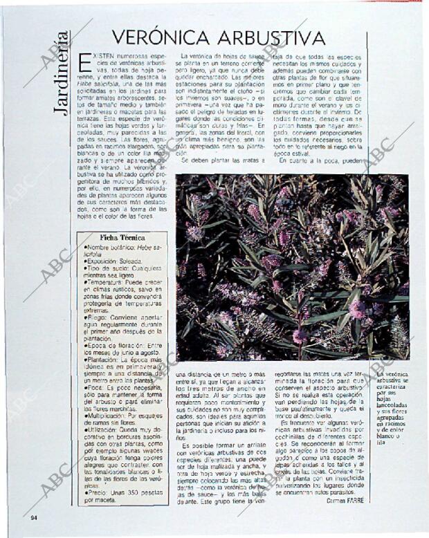 BLANCO Y NEGRO MADRID 18-08-1991 página 94