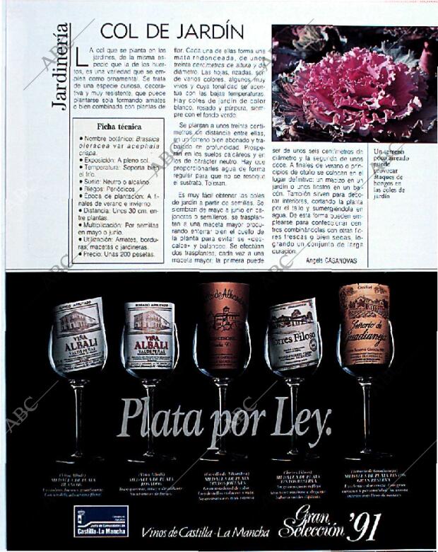 BLANCO Y NEGRO MADRID 22-09-1991 página 93