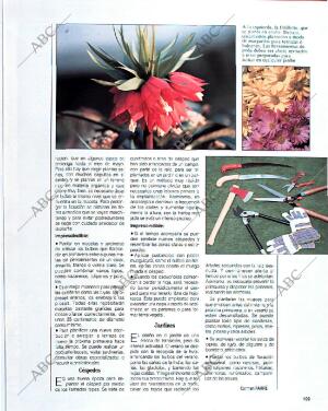 BLANCO Y NEGRO MADRID 06-10-1991 página 109