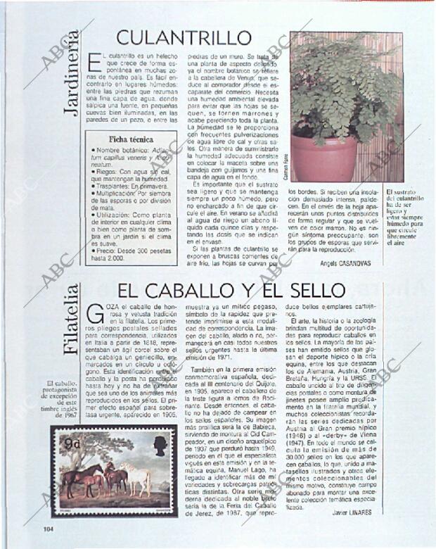 BLANCO Y NEGRO MADRID 13-10-1991 página 104