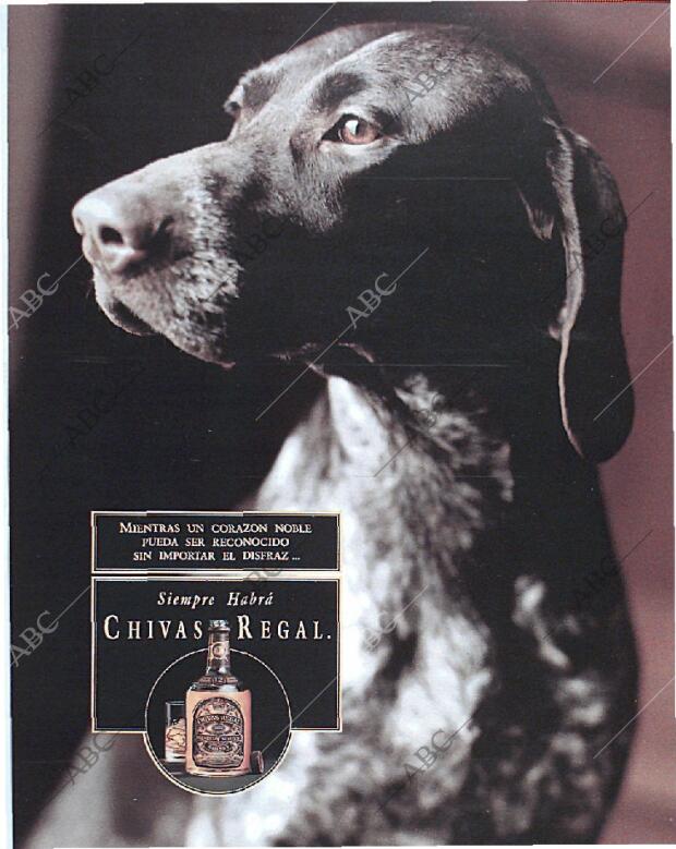 BLANCO Y NEGRO MADRID 13-10-1991 página 11