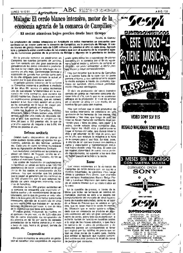ABC SEVILLA 16-12-1991 página 103