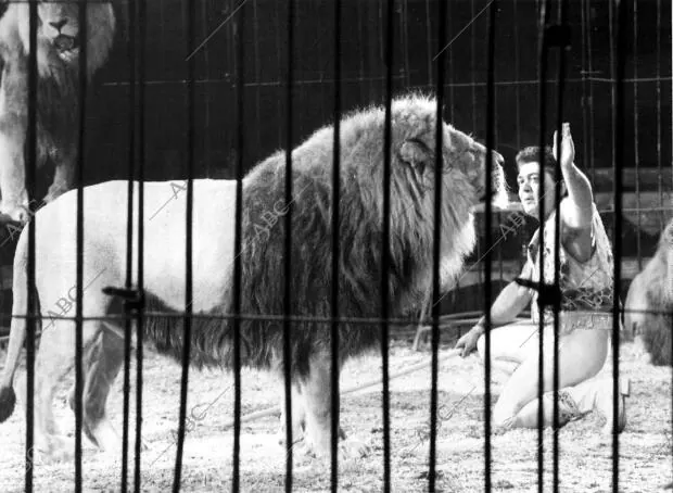 Ángel cristo en pleno espectáculo con los Leones en Valencia - Archivo ABC