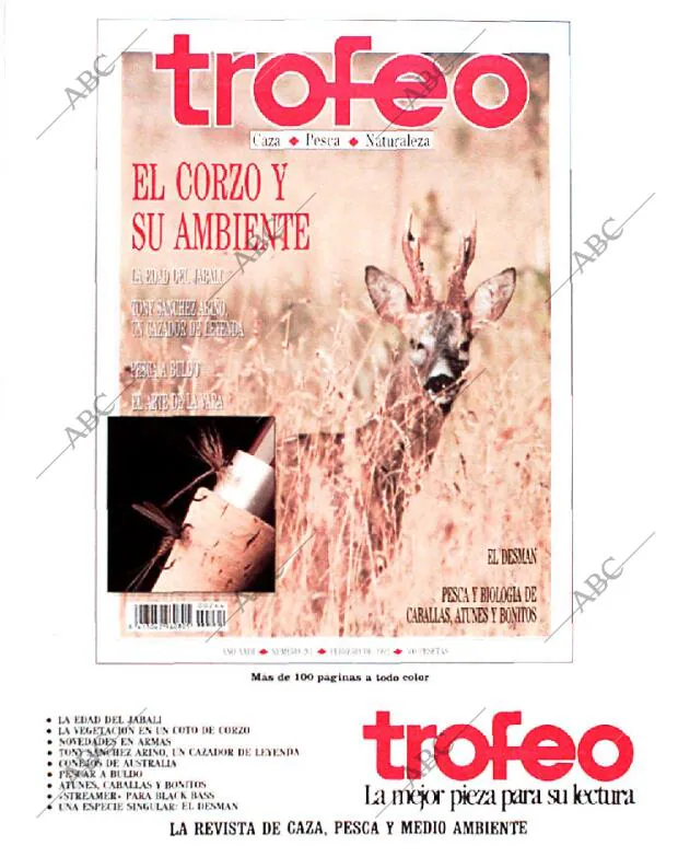 BLANCO Y NEGRO MADRID 10-05-1992 página 110