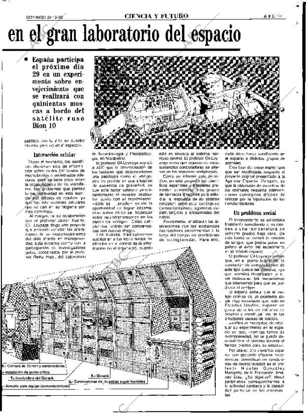 ABC SEVILLA 20-12-1992 página 91