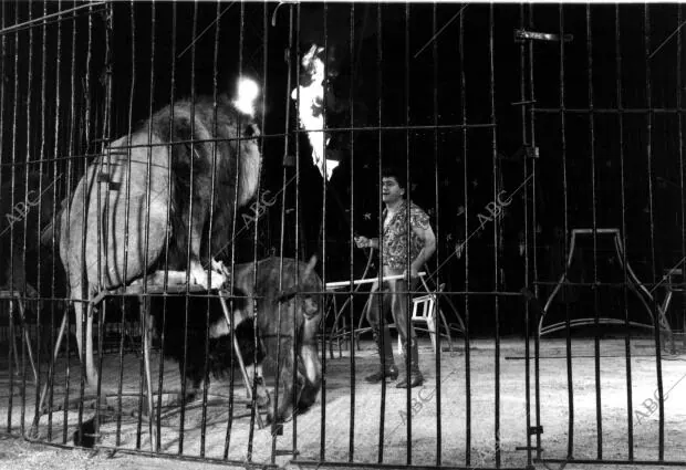 Ángel Cristo en la jaula con los leones, en su circo