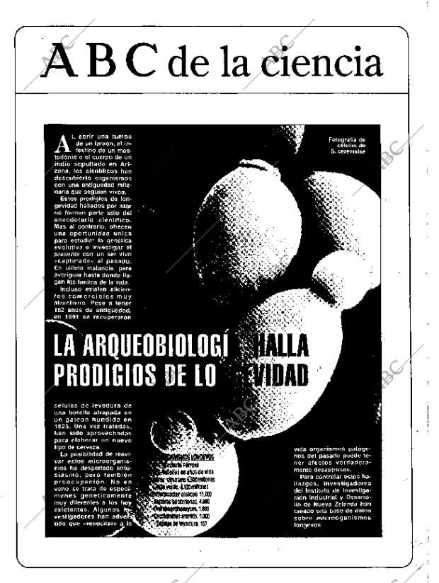 CULTURAL MADRID 15-01-1993 página 57