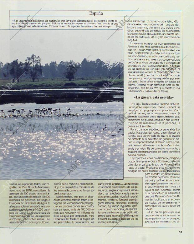 BLANCO Y NEGRO MADRID 17-01-1993 página 13