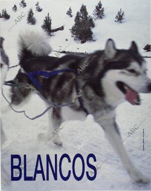 BLANCO Y NEGRO MADRID 17-01-1993 página 61