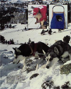 BLANCO Y NEGRO MADRID 17-01-1993 página 64