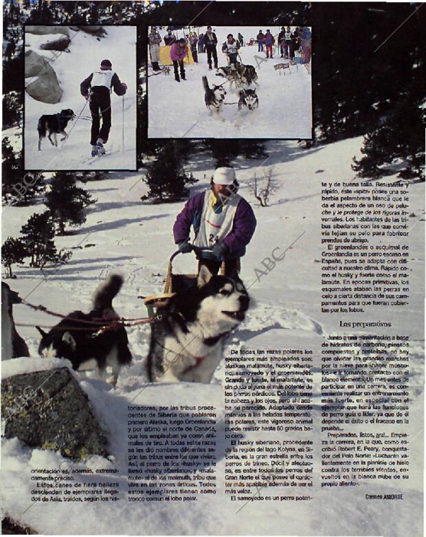 BLANCO Y NEGRO MADRID 17-01-1993 página 65