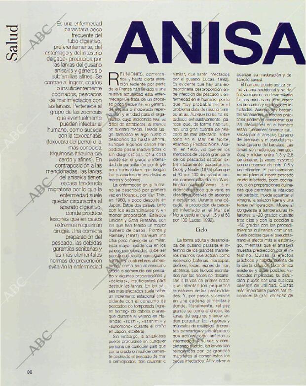 BLANCO Y NEGRO MADRID 17-01-1993 página 88