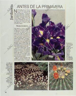 BLANCO Y NEGRO MADRID 17-01-1993 página 92