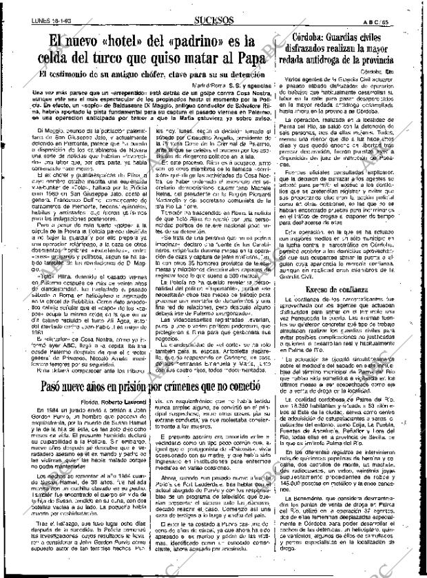 ABC SEVILLA 18-01-1993 página 65