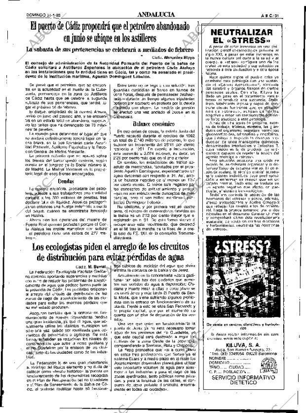 ABC SEVILLA 31-01-1993 página 51