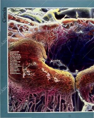 BLANCO Y NEGRO MADRID 31-01-1993 página 38