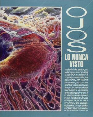 BLANCO Y NEGRO MADRID 31-01-1993 página 39