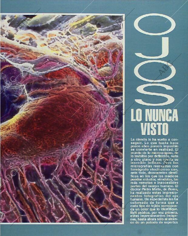 BLANCO Y NEGRO MADRID 31-01-1993 página 39