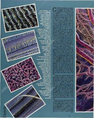 BLANCO Y NEGRO MADRID 31-01-1993 página 40