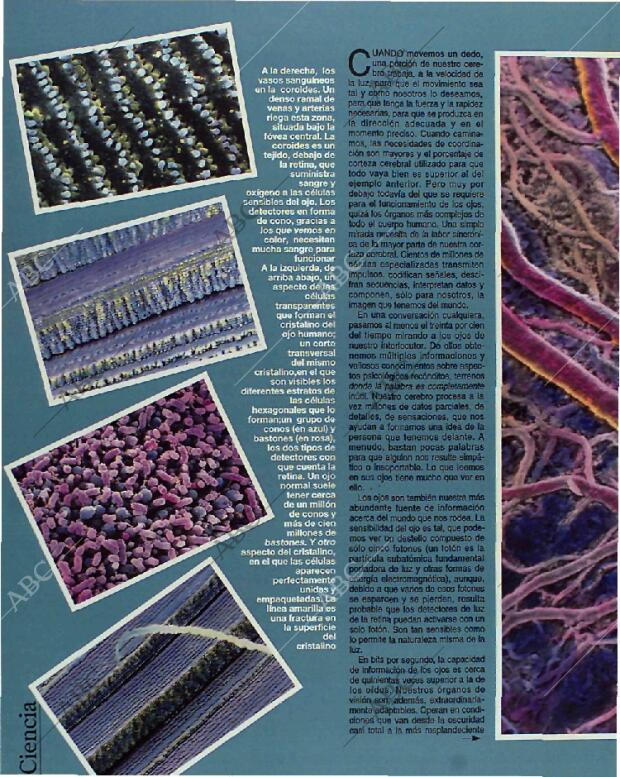 BLANCO Y NEGRO MADRID 31-01-1993 página 40