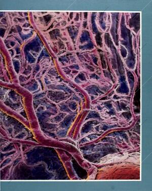 BLANCO Y NEGRO MADRID 31-01-1993 página 41