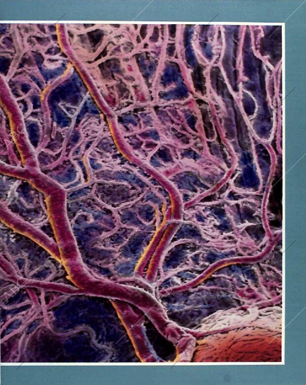 BLANCO Y NEGRO MADRID 31-01-1993 página 41