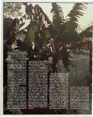 BLANCO Y NEGRO MADRID 31-01-1993 página 60