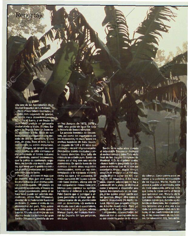 BLANCO Y NEGRO MADRID 31-01-1993 página 60