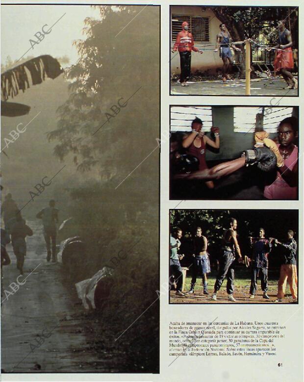 BLANCO Y NEGRO MADRID 31-01-1993 página 61