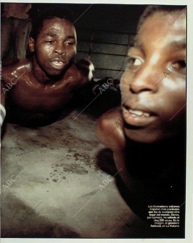 BLANCO Y NEGRO MADRID 31-01-1993 página 63