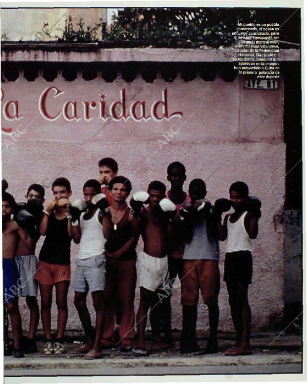 BLANCO Y NEGRO MADRID 31-01-1993 página 65