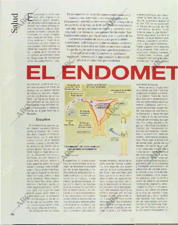 BLANCO Y NEGRO MADRID 07-02-1993 página 88