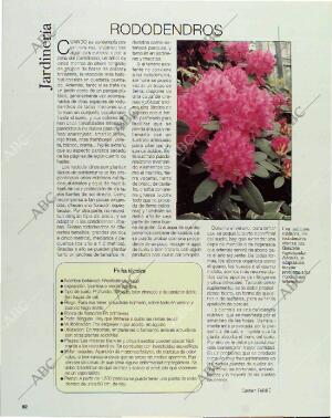 BLANCO Y NEGRO MADRID 07-02-1993 página 92