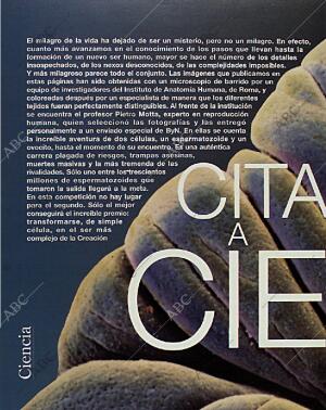 BLANCO Y NEGRO MADRID 14-02-1993 página 40