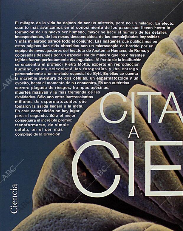 BLANCO Y NEGRO MADRID 14-02-1993 página 40