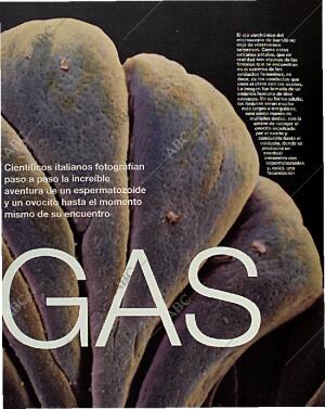 BLANCO Y NEGRO MADRID 14-02-1993 página 41