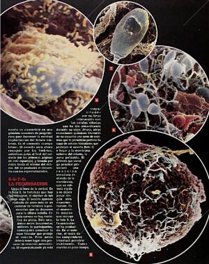 BLANCO Y NEGRO MADRID 14-02-1993 página 45