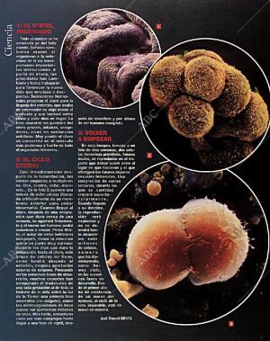 BLANCO Y NEGRO MADRID 14-02-1993 página 48