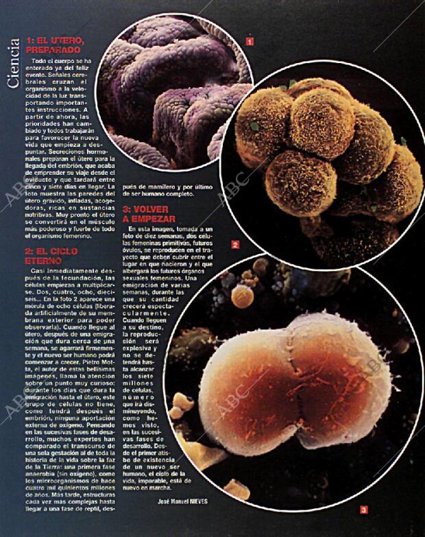 BLANCO Y NEGRO MADRID 14-02-1993 página 48