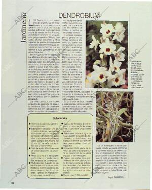 BLANCO Y NEGRO MADRID 07-03-1993 página 102