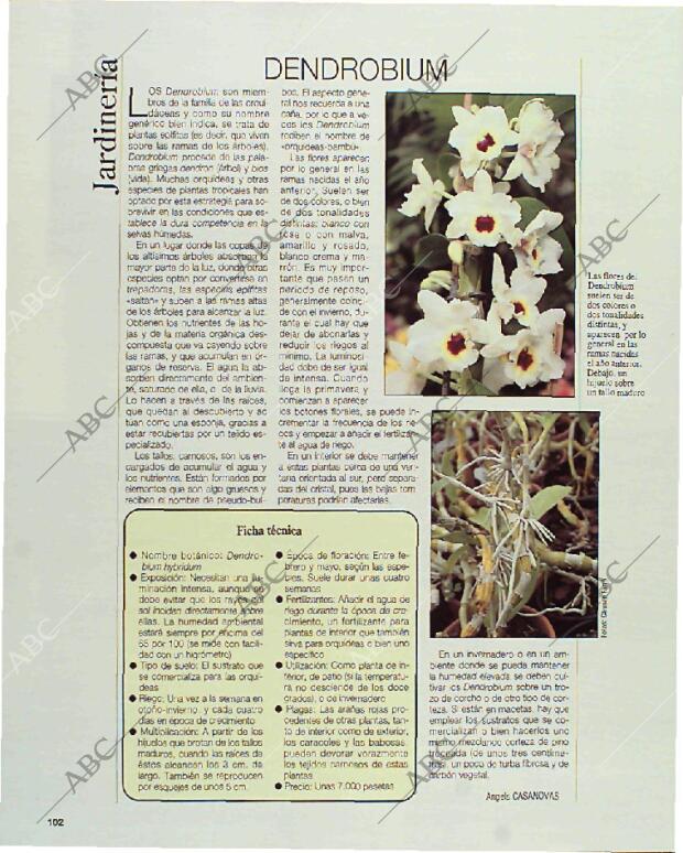 BLANCO Y NEGRO MADRID 07-03-1993 página 102