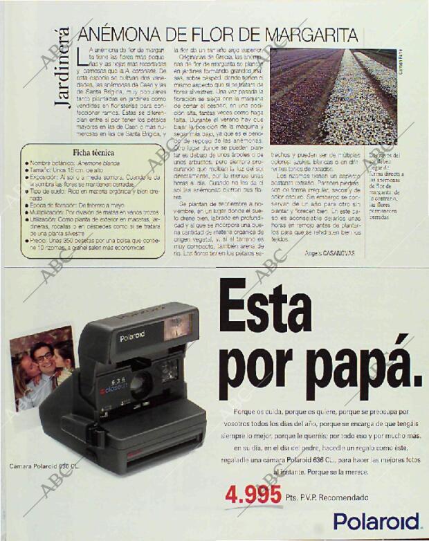 BLANCO Y NEGRO MADRID 14-03-1993 página 113