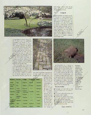 BLANCO Y NEGRO MADRID 21-03-1993 página 111