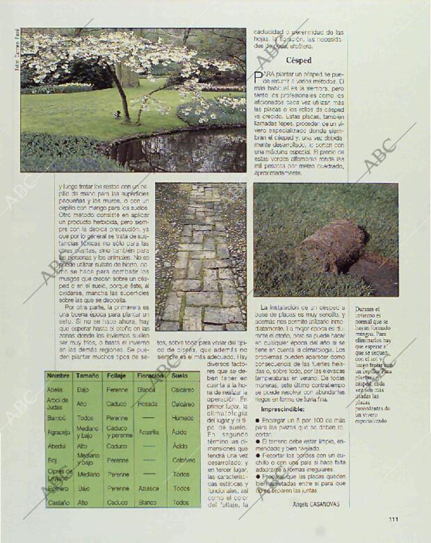 BLANCO Y NEGRO MADRID 21-03-1993 página 111