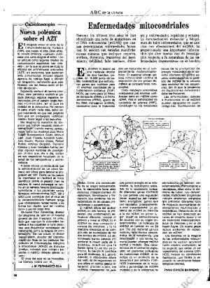 CULTURAL MADRID 09-04-1993 página 56