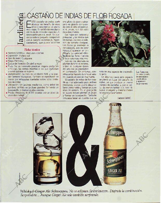 BLANCO Y NEGRO MADRID 11-04-1993 página 103