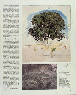 BLANCO Y NEGRO MADRID 11-04-1993 página 49