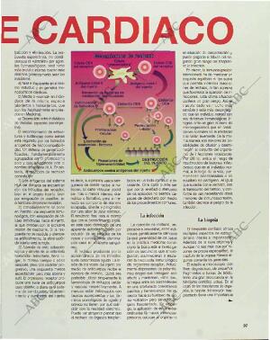 BLANCO Y NEGRO MADRID 11-04-1993 página 97