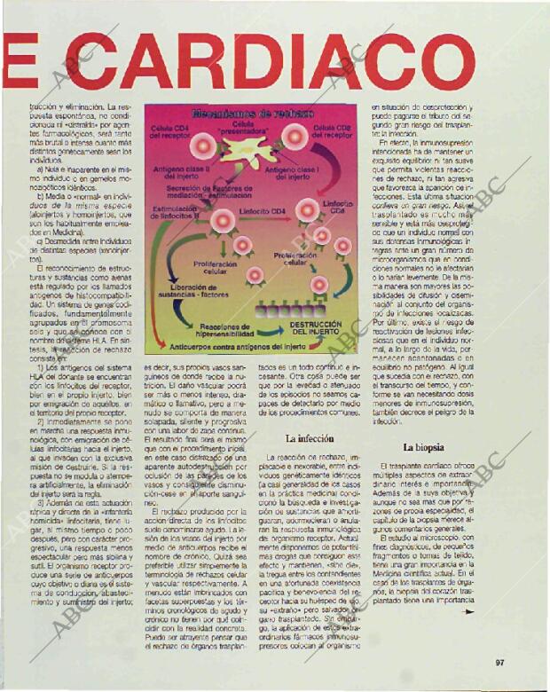 BLANCO Y NEGRO MADRID 11-04-1993 página 97