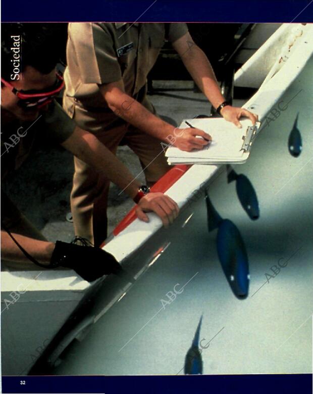 BLANCO Y NEGRO MADRID 25-04-1993 página 32